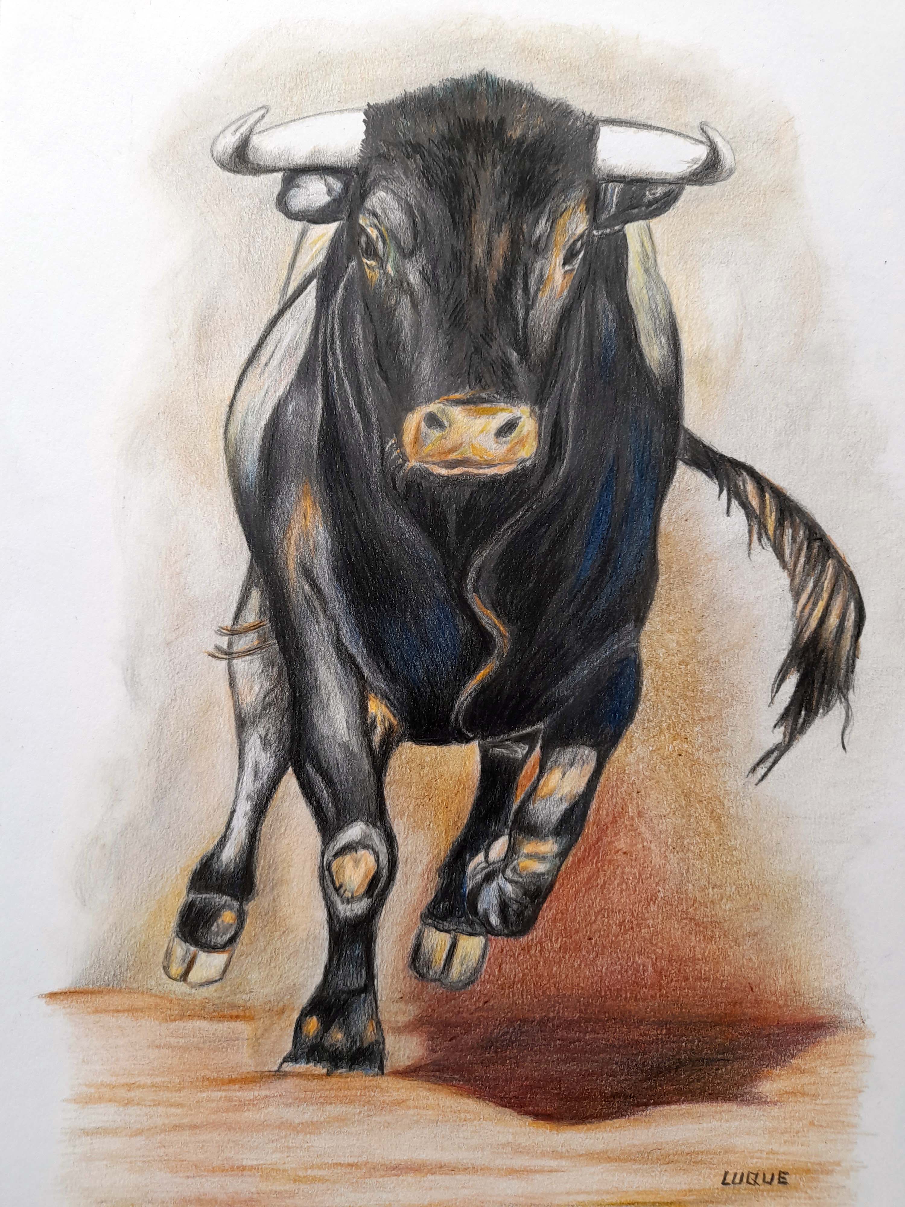 Toro